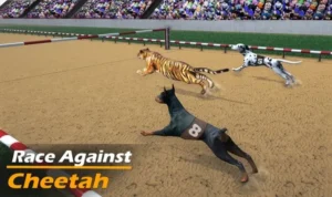 Bí Kíp Chơi Game Nhanh Đua Chó Tại Goal123 Thắng Lớn Siêu Dễ Dàng 5 Đua Chó tại Goal123